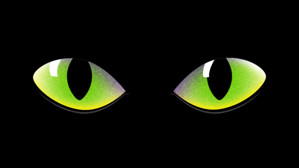 cat eyes