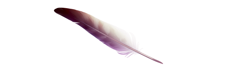 Hawk Feather